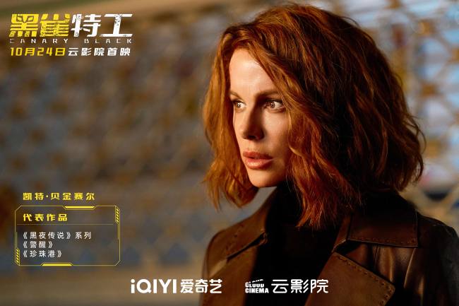 《黑雀特工》百度云资源下载「百度网盘bd1024p1080pMP4」百度云插图