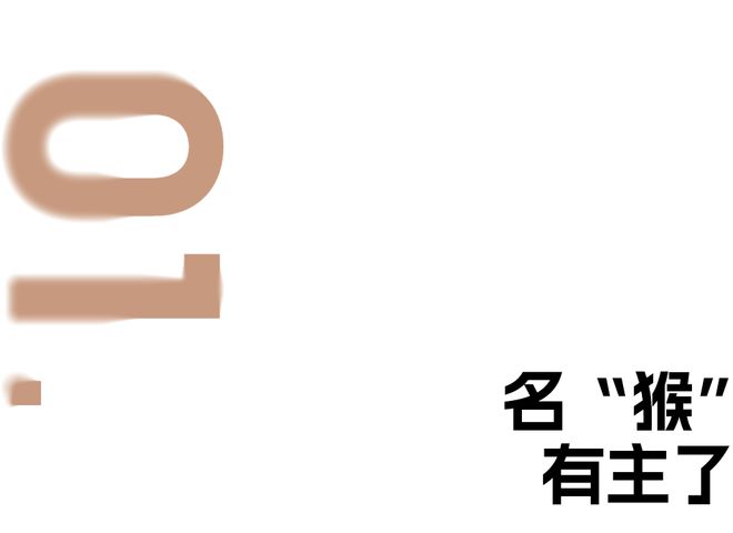 脱口秀界少不了付航插图
