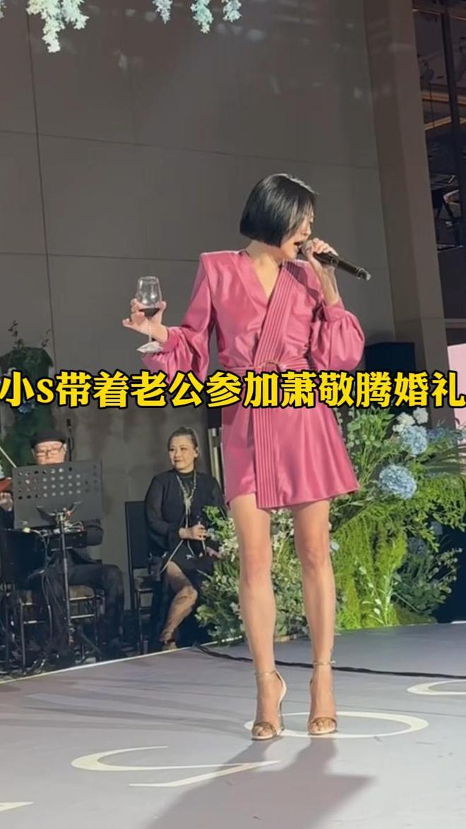刘建国爆料：大S现在连妈妈角色都接不到，比不了小S插图2
