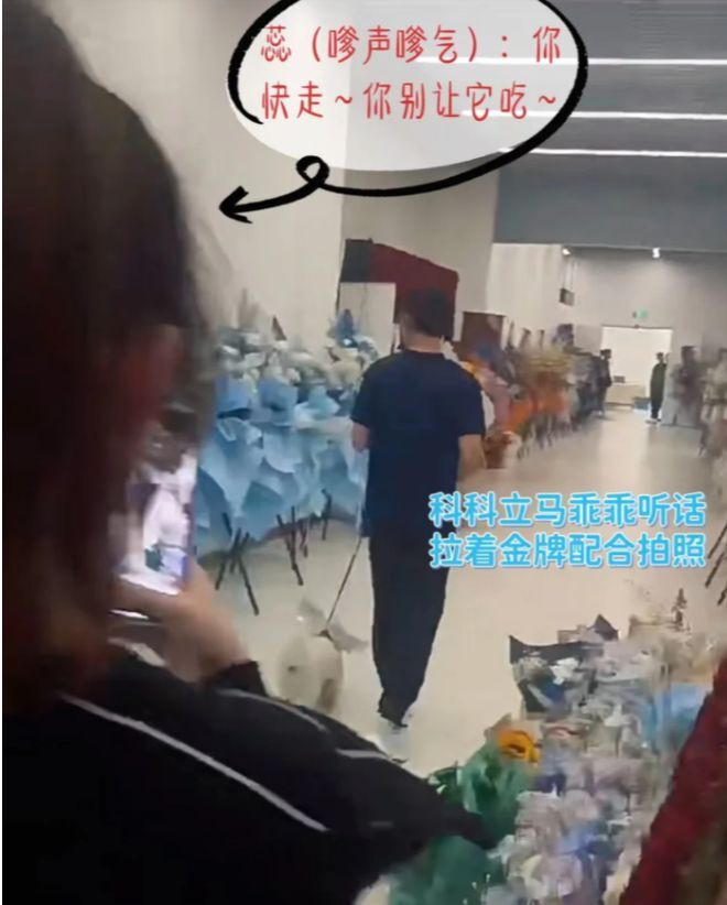 张继科新开球馆火了！女友身份大曝光，两人已相恋多年插图1