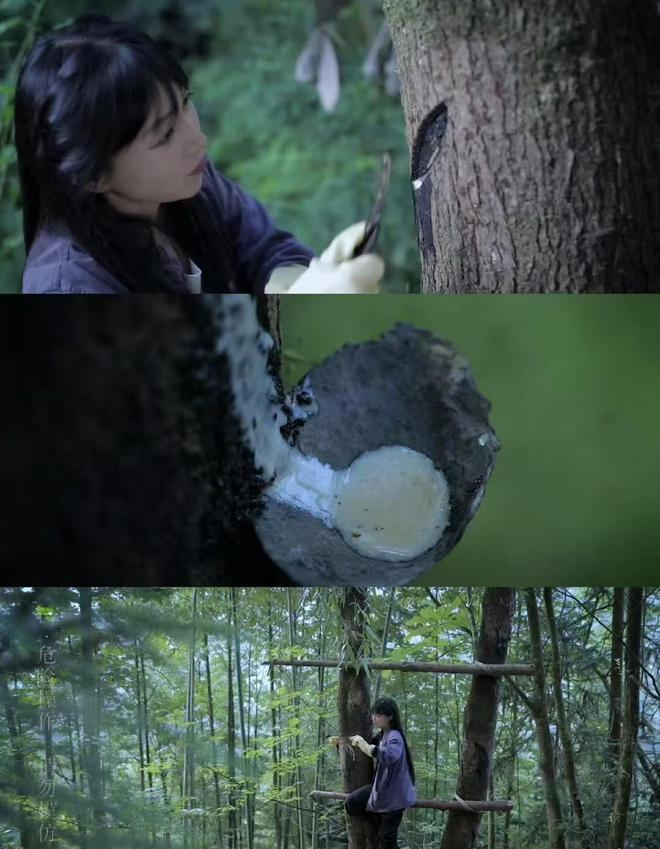 李子柒生漆过敏，全身红肿多次住院，老师揭秘更多感人故事插图1