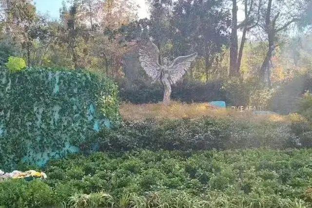 李玟武汉墓地长满杂草？她姐姐出来回应了插图