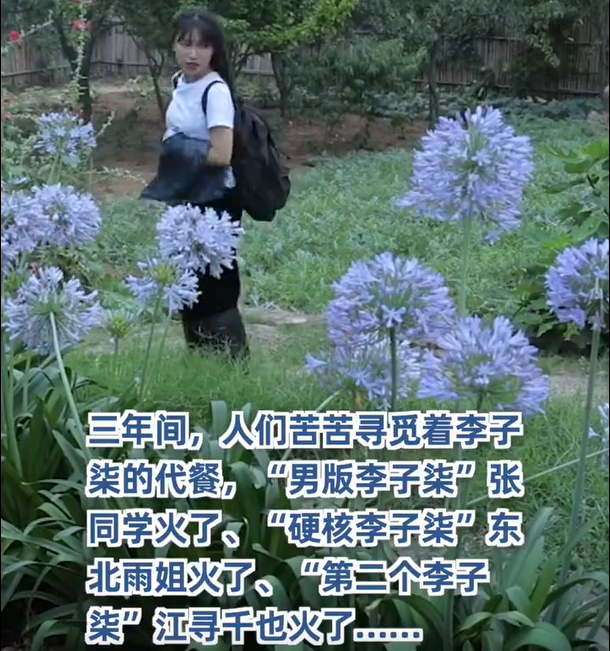 李子柒被说变现能力弱，品牌也不是她的，视频里加广告挺难的插图2