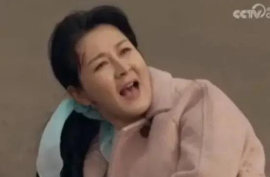 《故乡的泥土》全集百度云网盘资源下载〈mkv-泄露〉高清版迅雷在线看阿里云盘免费共享插图2