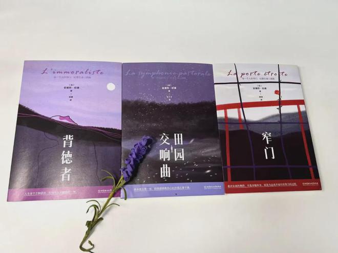 这条通往幸福的路，看得我直发抖插图2
