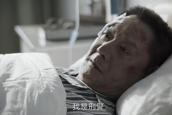 《我是刑警》百度网盘下载高清无水印阿里云盘【HD1080P-MP4】在线分享插图1