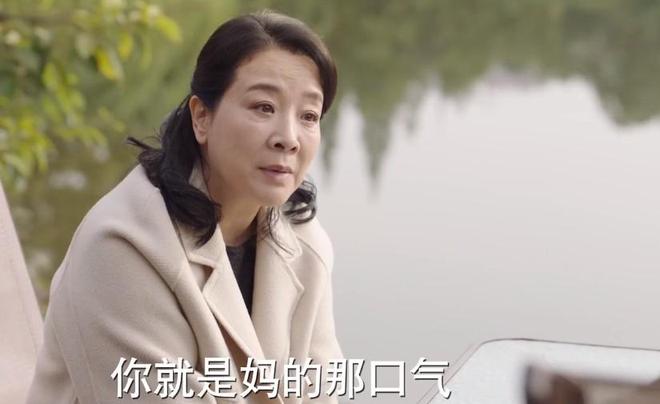 《好运家》全集百度云网盘资源(完整观看版)在线(手机版)已更免费下载插图2