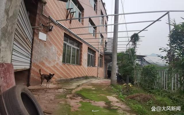 我是刑警，周克华被击毙的地方弹孔还在，原型警察也追剧了插图