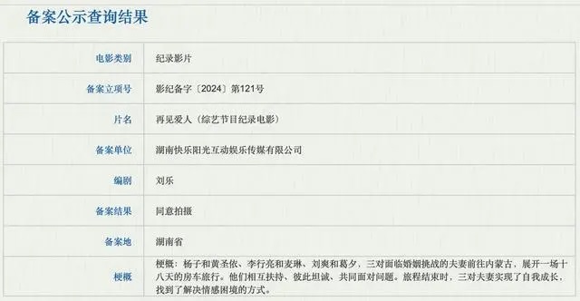 《再见爱人》百度云网盘[HD1080p]免费资源下载分享插图