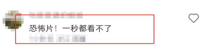 《执行法官》百度云网盘完整阿里云盘资源下载插图1