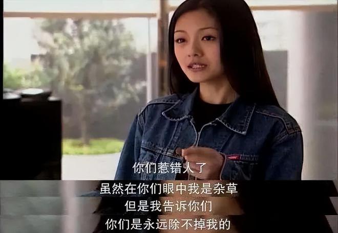 大S不玩杉菜了：她的楚门式生活插图1