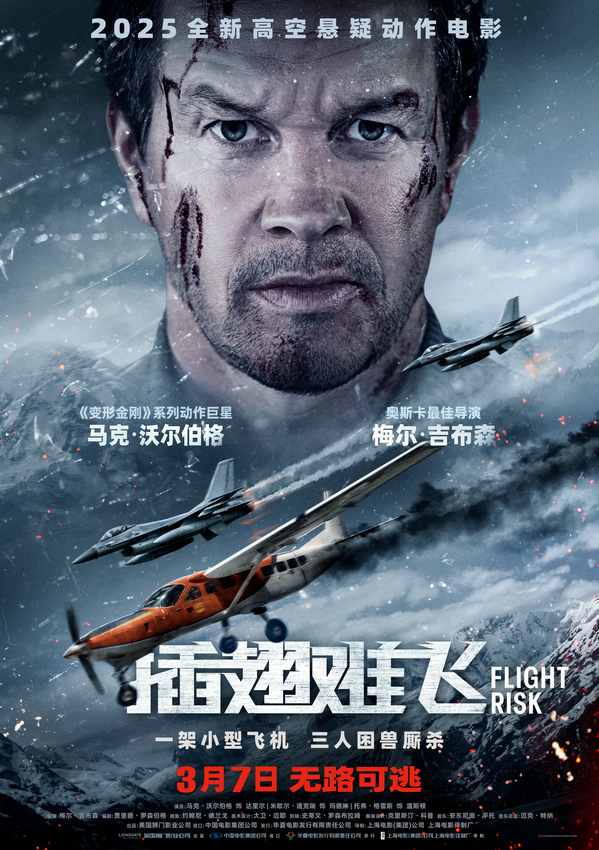 《插翅难飞》泄露版HD正版高清百度云资源下载【1280p超清晰】插图