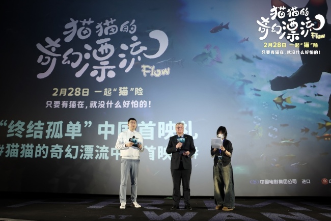 《猫猫的奇幻漂流》在线免费观看【1080p高清】百度云网盘资源下载阿里云盘资源下载插图
