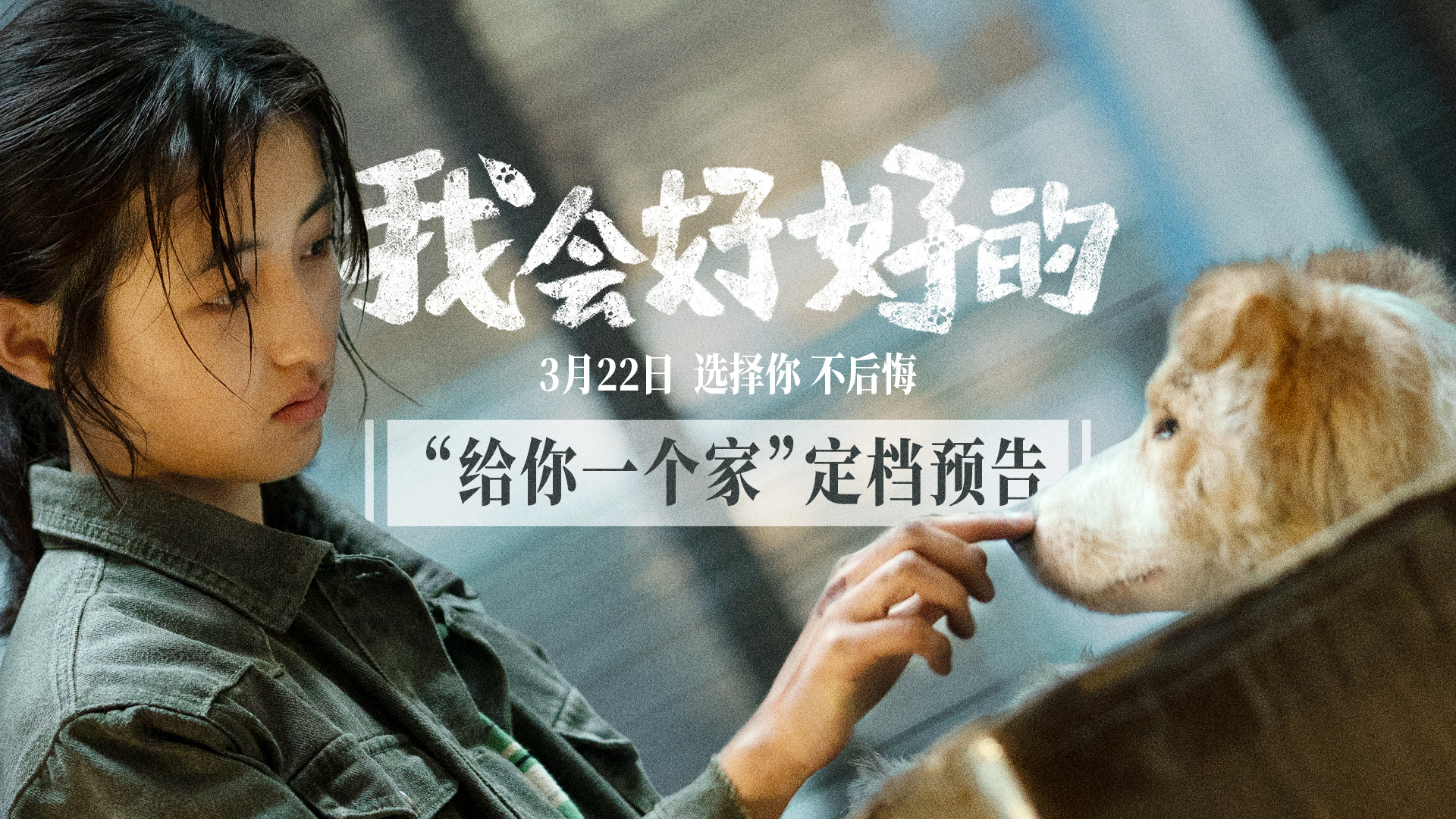 《我会好好的》百度云网盘资源在线免费观看阿里云盘最新(手机版)插图