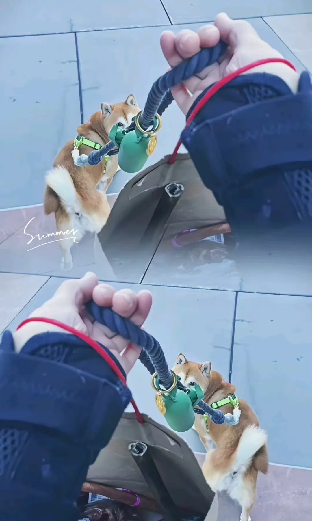 郑爽小三闹剧升级！靠通缉犯借腹生子，继子放话谁也别想轻松过关插图