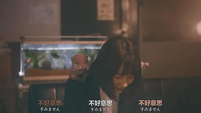 一集就爱上，这解压剧也太萌了吧！插图1