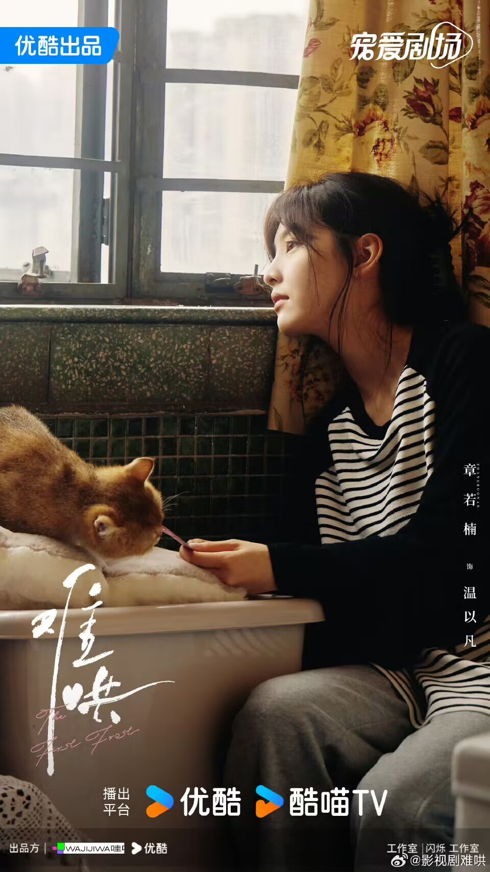 《难哄》下载百度云网盘免费阿里云盘[1080p高清HD]阿里云盘插图1