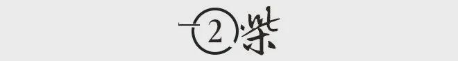 费翔62岁还没结婚？背后真相竟是他妈妈毕丽娜的半生坎坷换来的顶流传奇插图1