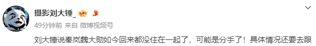 秦岚和魏大勋没分手！两人感情稳定还住一起，新剧播出女方被质疑炒作插图1