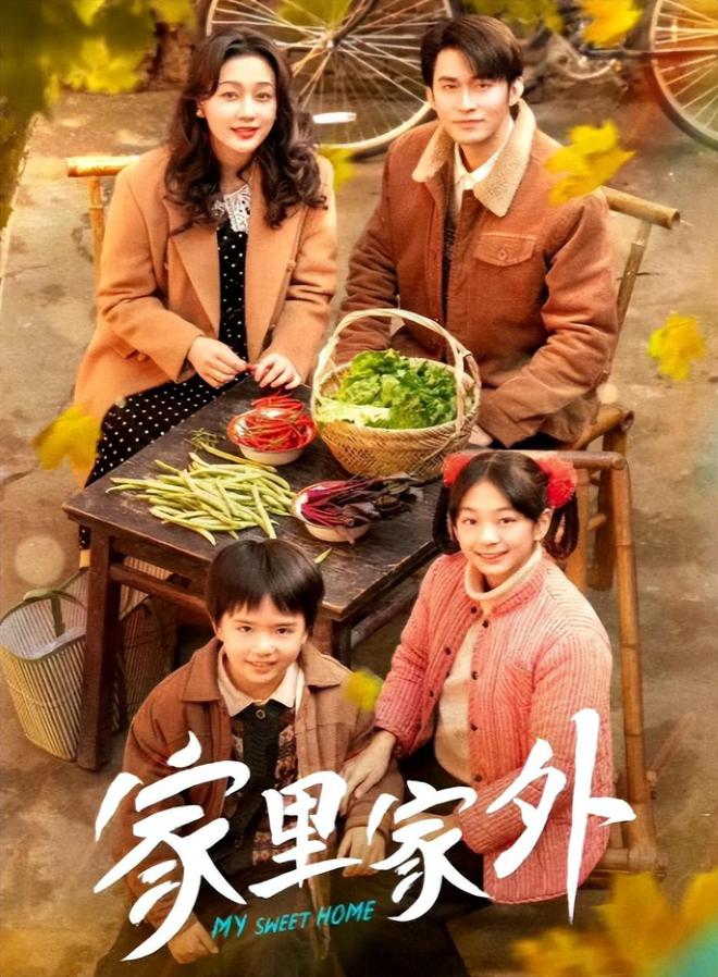 《家里家外》百度云网盘【免费1080P资源下载】资源下载插图2