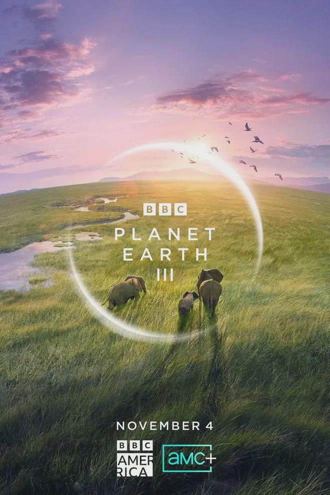 这五部神作，评分最高9.8，零差评，强烈建议收藏插图