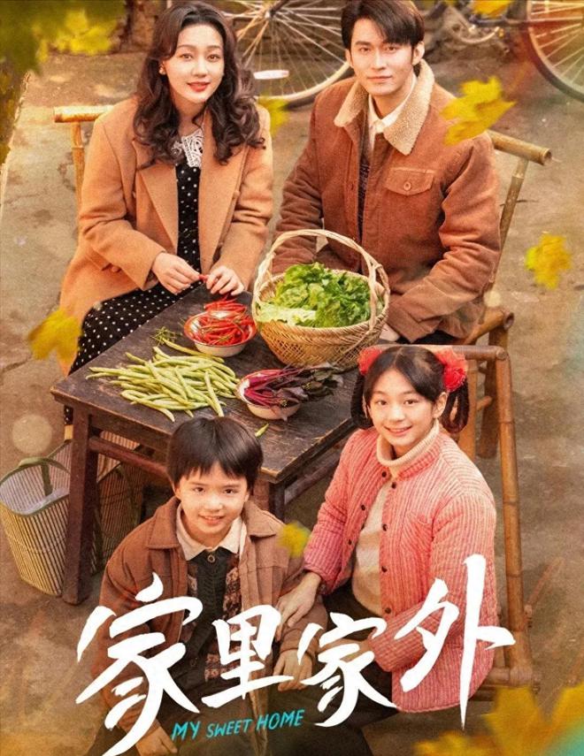 《家里家外》全集百度云网盘资源下载【BD-720p1080p蓝光4K高清】插图
