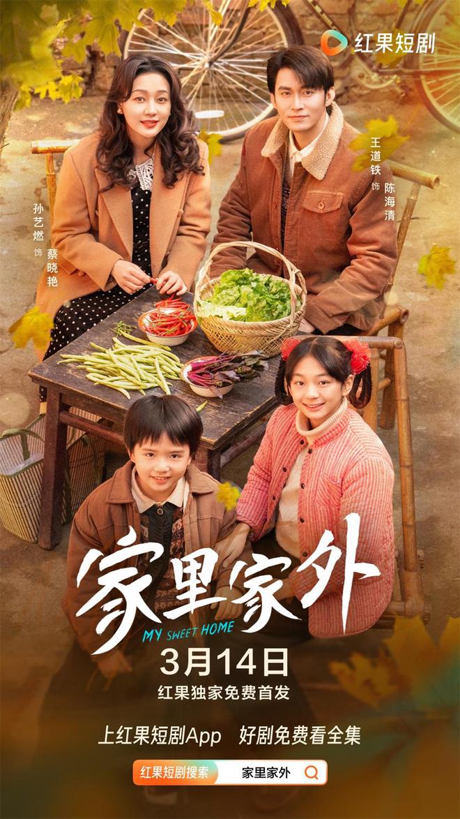 《家里家外》百度云网盘「1080p/HD高清资源下载」免费阿里云盘在线观看插图