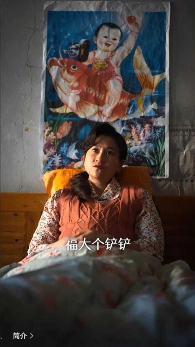 《家里家外》百度云网盘迅雷资源下载高清无水印免费下载HD1080p超清版本插图2