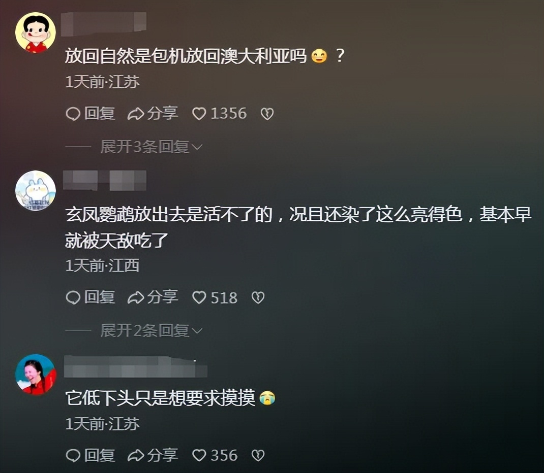 短剧虐鸟事件越闹越大！官方回应漏洞一堆，网友怒了狂喊下架插图1