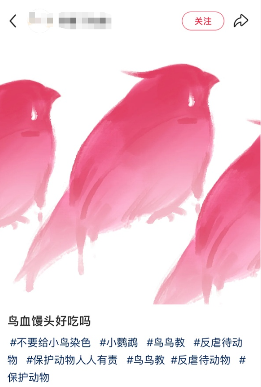 短剧虐鸟事件越闹越大！官方回应漏洞一堆，网友怒了狂喊下架插图2