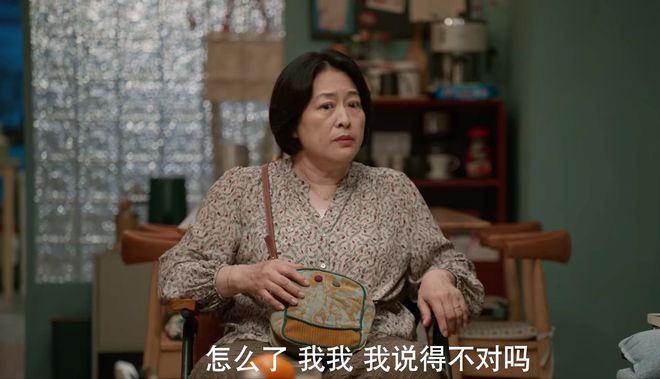《我的后半生》全集百度云[1080p高清电视剧中字]百度网盘下载插图2
