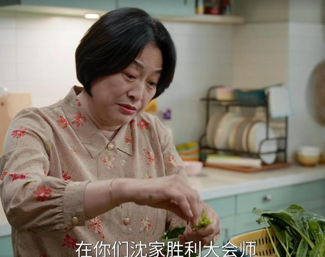 《我的后半生》百度云网盘1080P手机版高清免费在线观看插图2