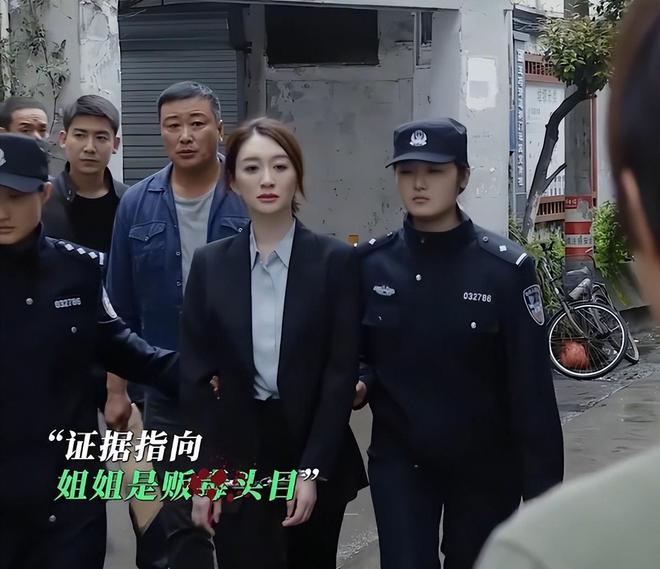 央八开播！秦昊主演的12集警匪大剧来了，还有4位实力派加盟，这剧要火啊插图