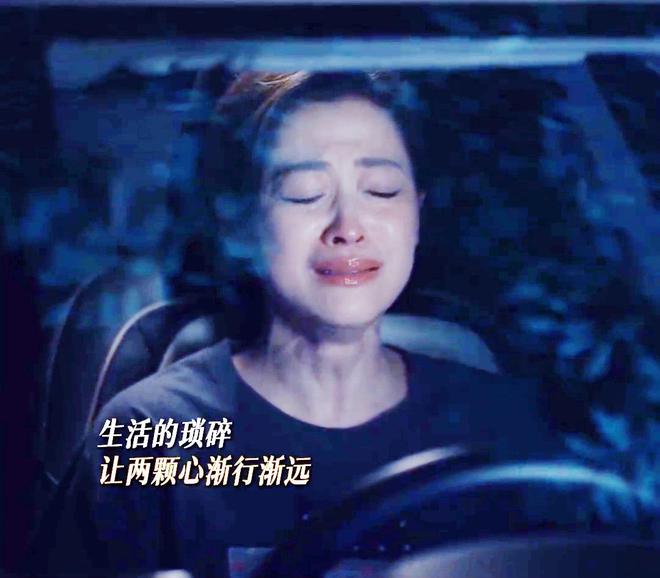 《我的后半生》全集百度云盘免费版「BD1080P阿里云盘」迅雷下载链接插图2
