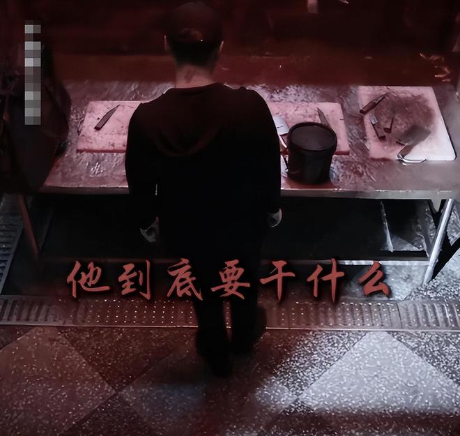 《悬镜》全集百度云下载【1080p网盘免费夸克资源分享】插图1