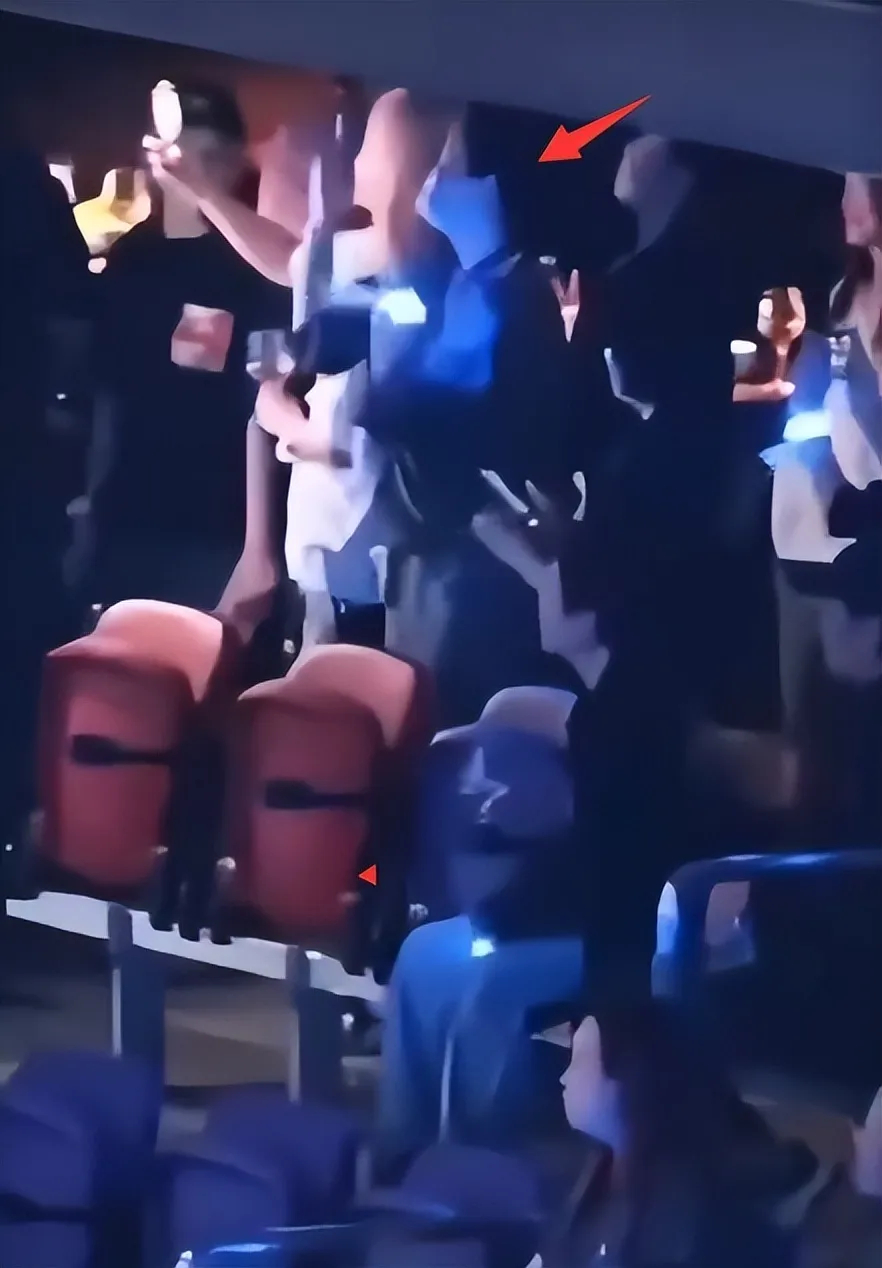 谢霆锋演唱会半个娱乐圈都到了，对着王菲唱情歌，女方超激动来捧场插图