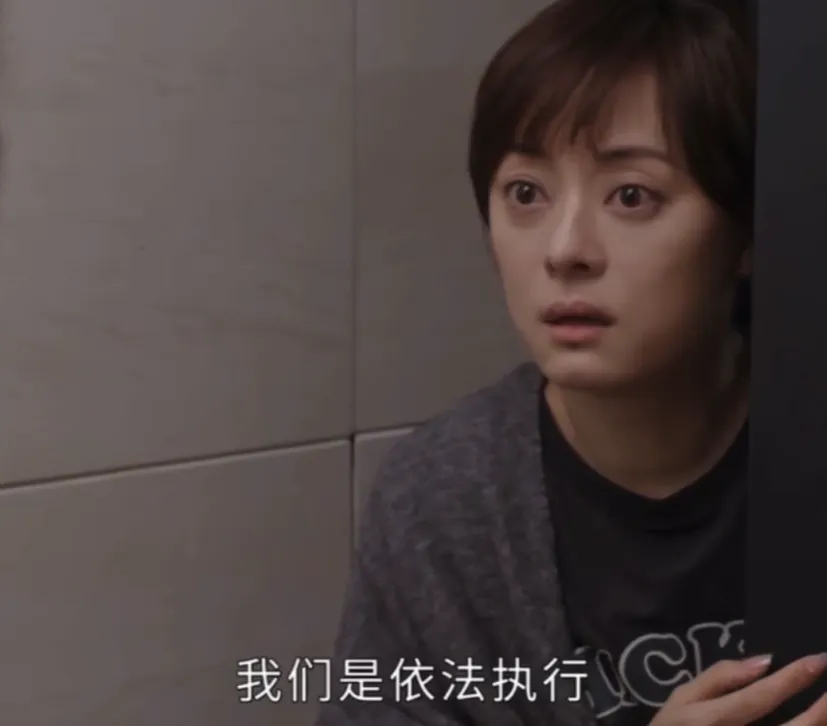 孙俪新剧被法律圈狂吐槽：律师看了想弃剧插图