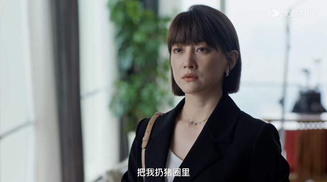 《蛮好的人生》资源下载高清无水印电视剧资源下载免费分享HD1080p超清插图2